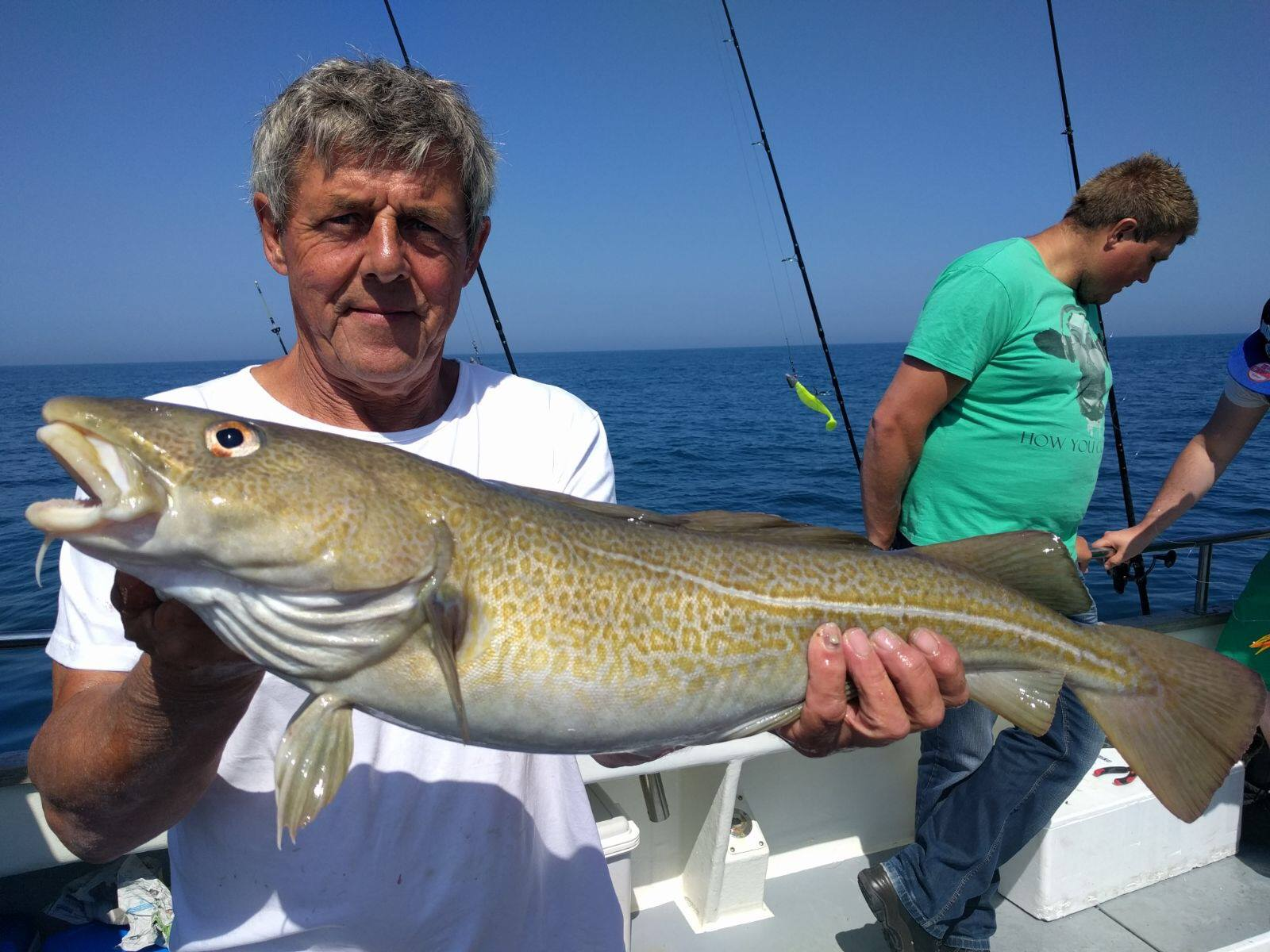 Shuraba Flitsend attribuut Kabeljauw vissen op zee vanuit IJmuiden – Sport Fishing Company | The Sport  Fishing Company